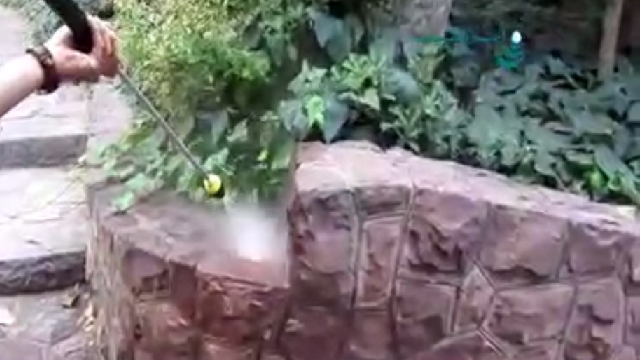 شستشوی باغ و محوطه با واترجت  - clean the Garden using high pressure cleaner 